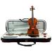 Hidersine Vivente Academy Violin 4/4 Finetune Outfit