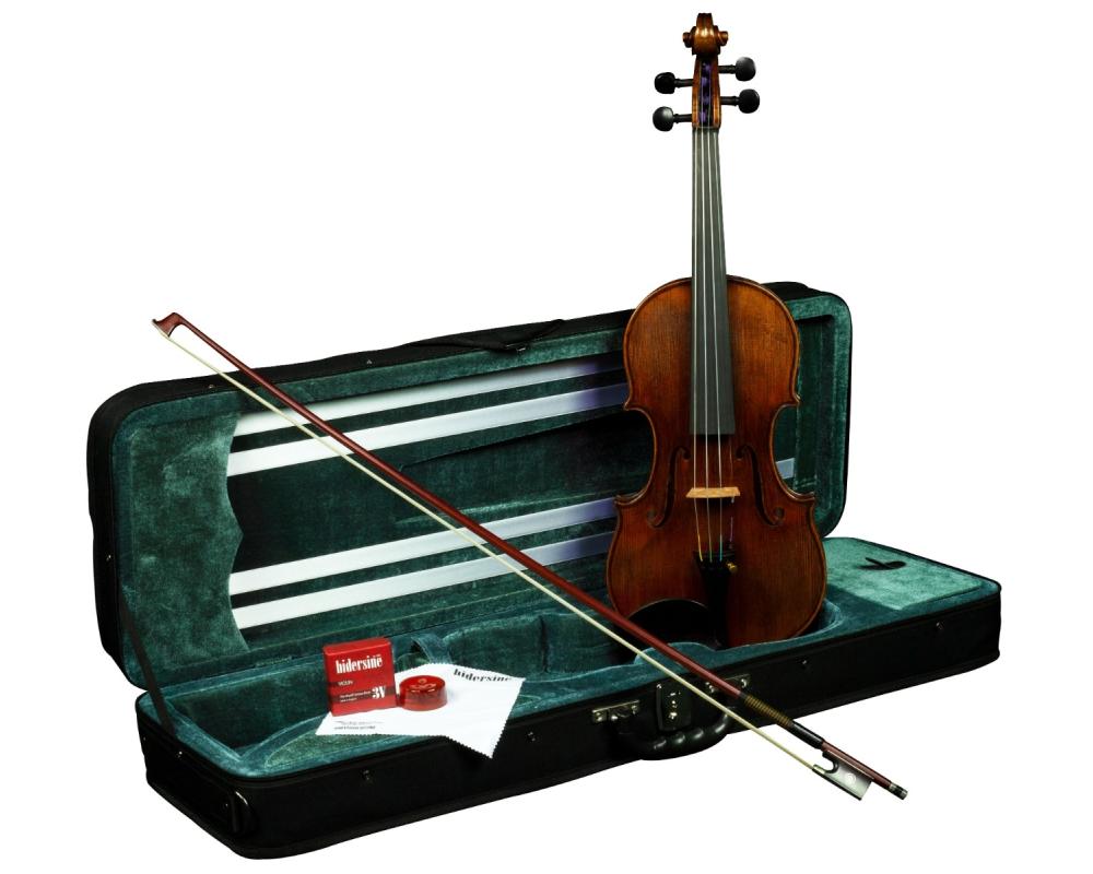 Hidersine Espressione Violin 4/4 Outfit - Guarneri