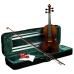 Hidersine Espressione Violin 4/4 Outfit - Guarneri