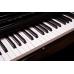 Montford MFDP12 Upright Digital Piano