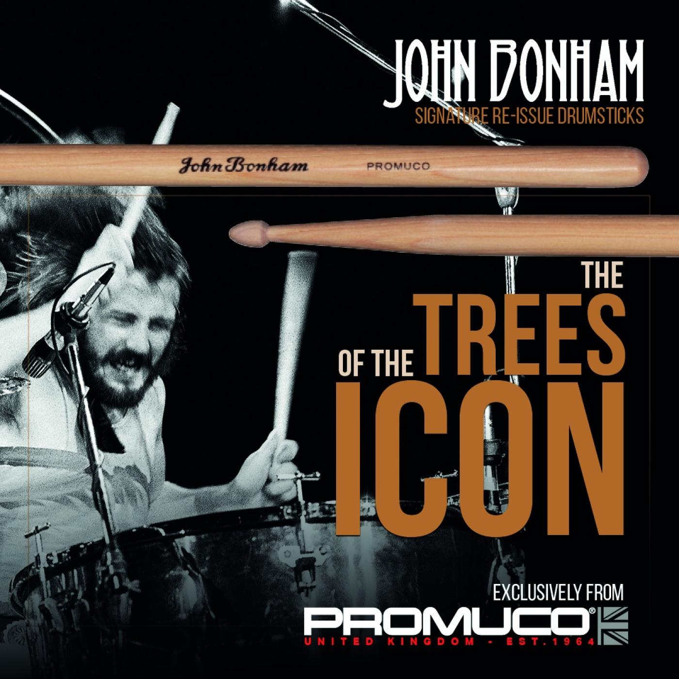 Promuco Drumsticks - Oak 7A