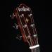 Rathbone Navigator - Spruce/Mahogany E/Cut - Inc. Gigbag