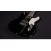 Shergold Guitars Telstar Standard ST14 Black
