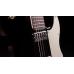 Shergold Guitars Telstar Standard ST14 Black