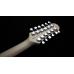 Shergold Telstar Standard ST14 Black 12-String