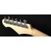Shergold Guitars Telstar Standard ST14 Champagne Gold
