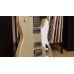 Shergold Telstar Standard ST14 Champagne Gold 12-String