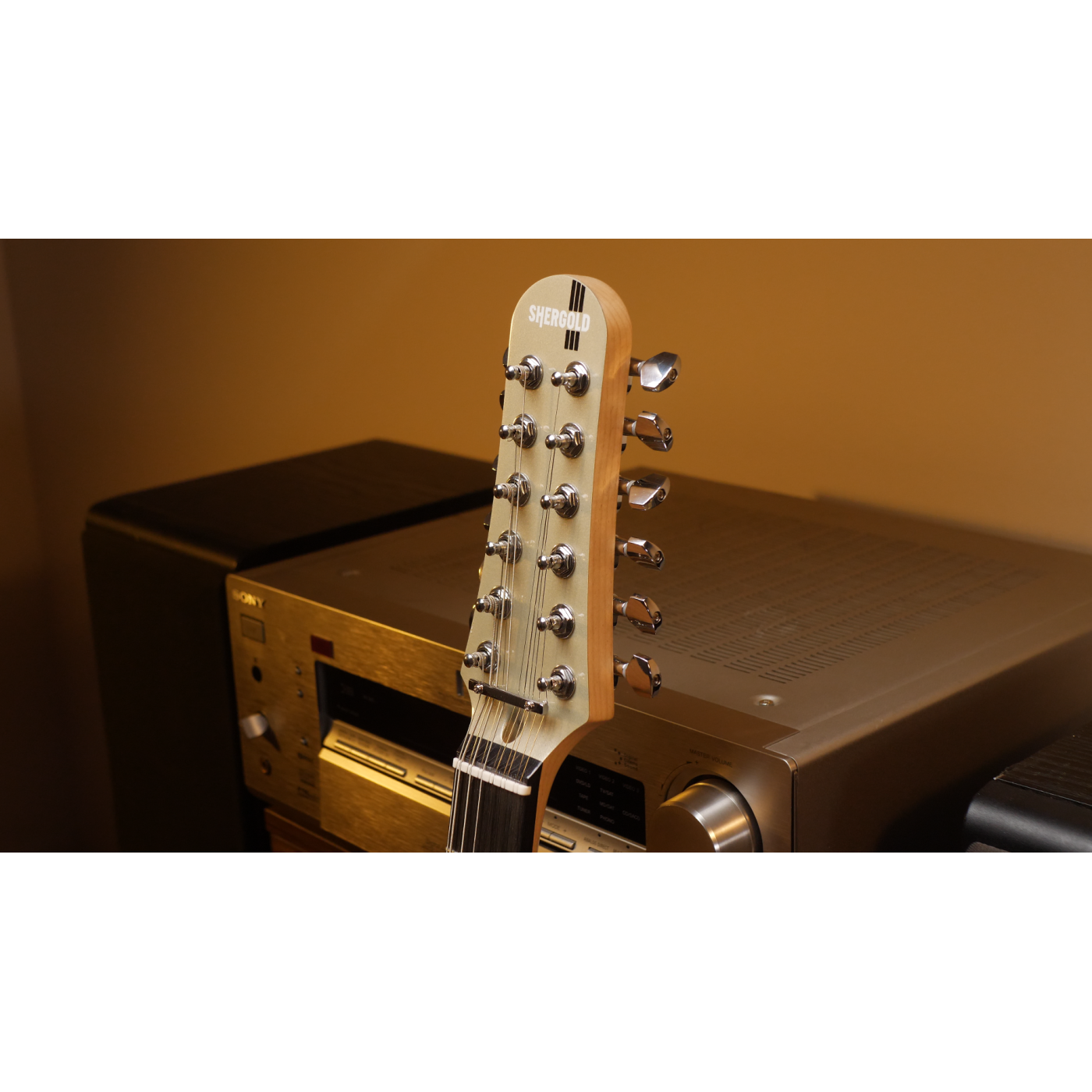 Shergold Telstar Standard ST14 Champagne Gold 12-String