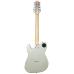 Shergold Telstar Standard ST14 Champagne Gold 12-String