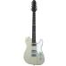 Shergold Telstar Standard ST14 Champagne Gold 12-String