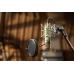 Universal Audio Bock 251